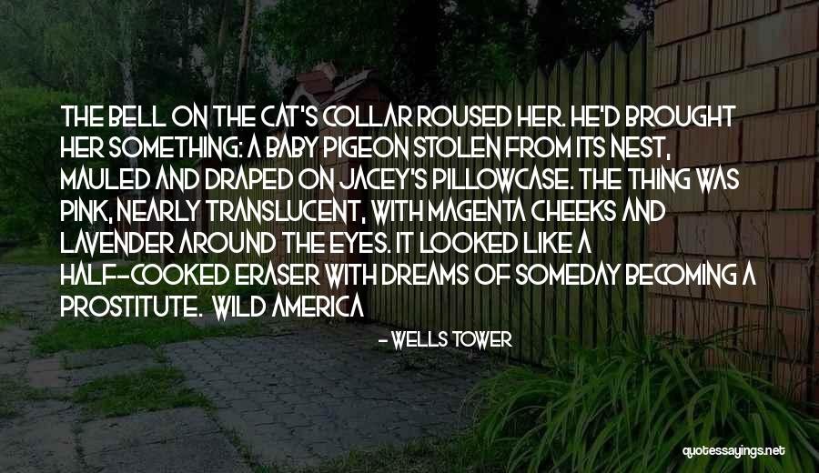 Dreams And Eyes Quotes By Wells Tower Dreams And Eyes Quotes By Wells Tower