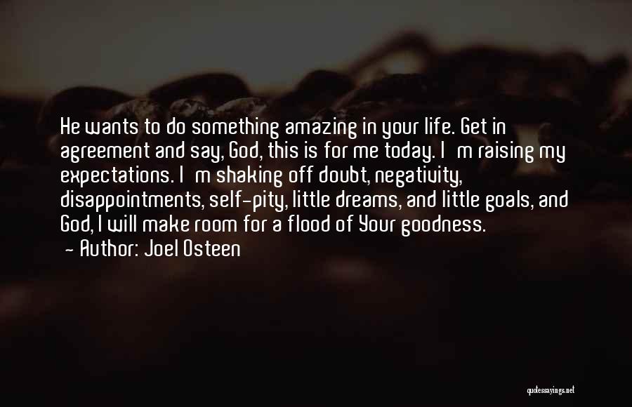 Dreams And Goals In Life Quotes By Joel Osteen