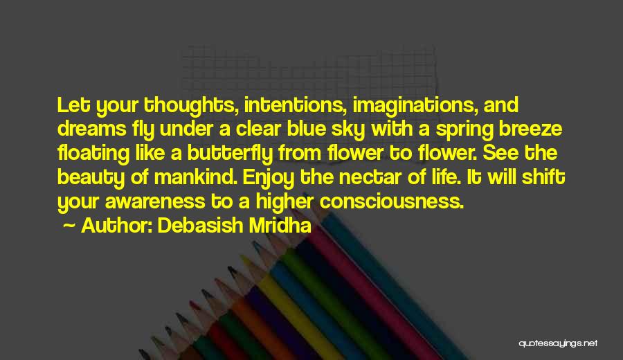 Dreams And Imaginations Quotes By Debasish Mridha