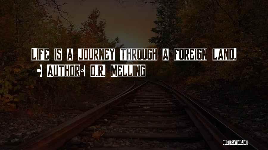 Dreams And Journeys Quotes By O.R. Melling