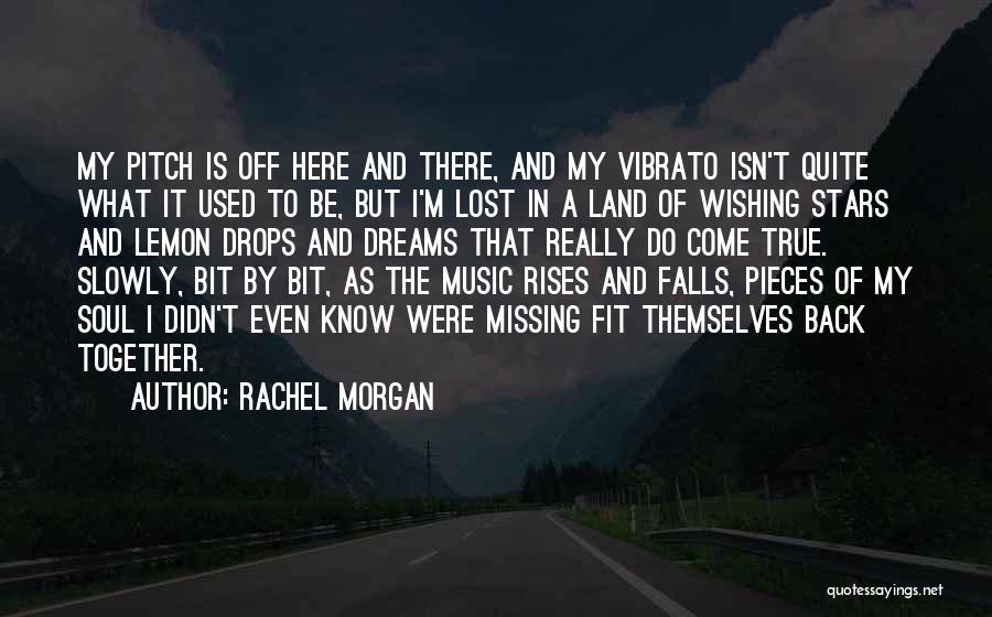 Dreams And Missing Someone Quotes By Rachel Morgan