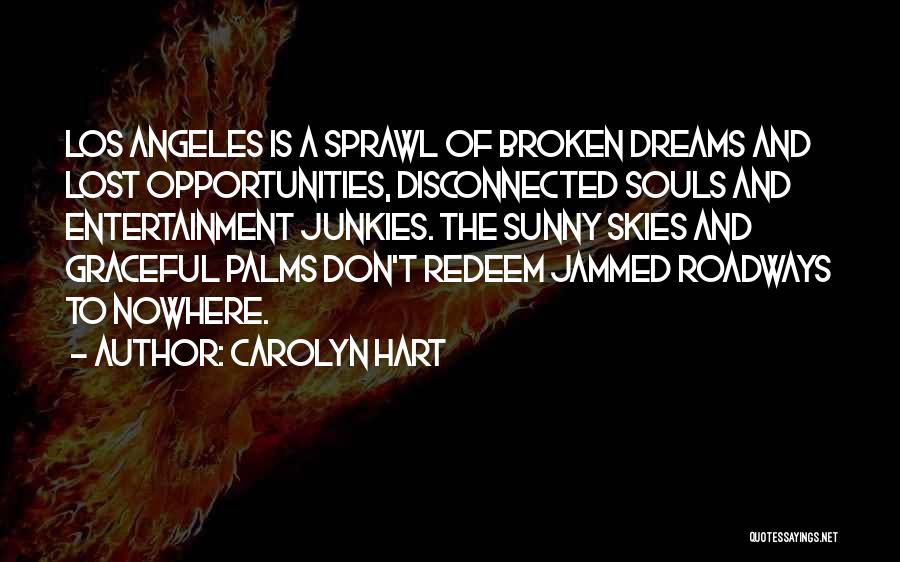 Dreams And Opportunities Quotes By Carolyn Hart