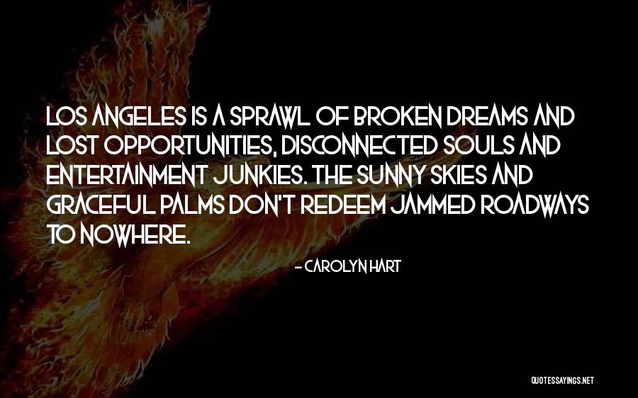 Dreams And Opportunities Quotes By Carolyn Hart