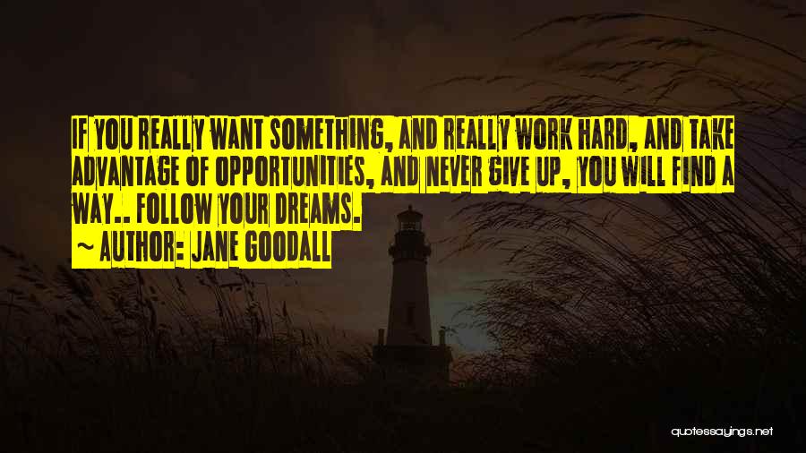 Dreams And Opportunities Quotes By Jane Goodall