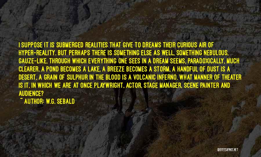 Dreams And Realities Quotes By W.G. Sebald