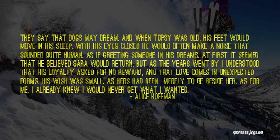 Dreams And Wishes Quotes By Alice Hoffman Dreams And Wishes Quotes By Alice Hoffman