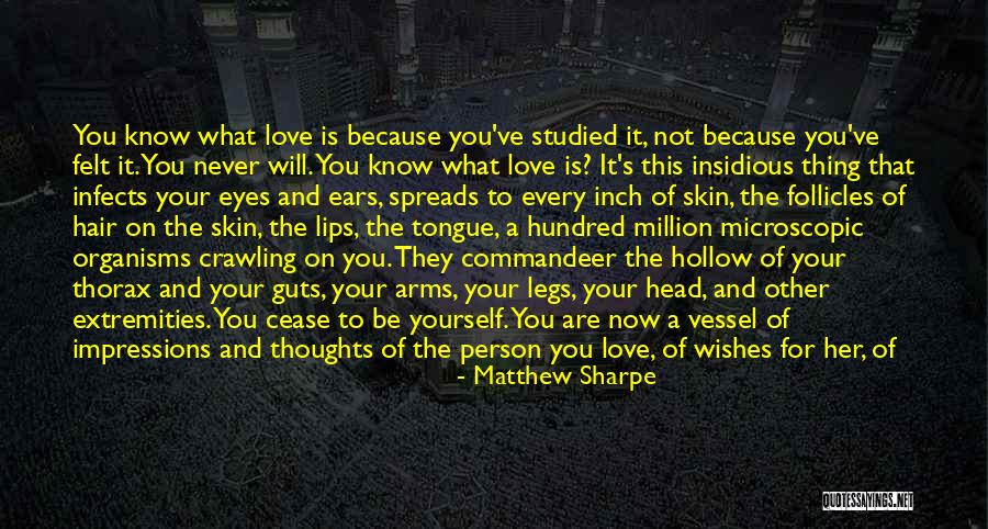 Dreams And Wishes Quotes By Matthew Sharpe Dreams And Wishes Quotes By Matthew Sharpe