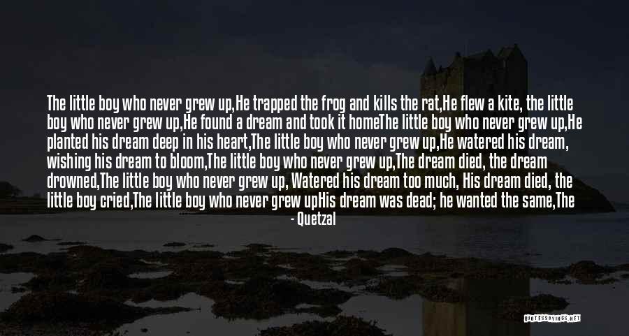 Dreams And Wishes Quotes By Quetzal Dreams And Wishes Quotes By Quetzal