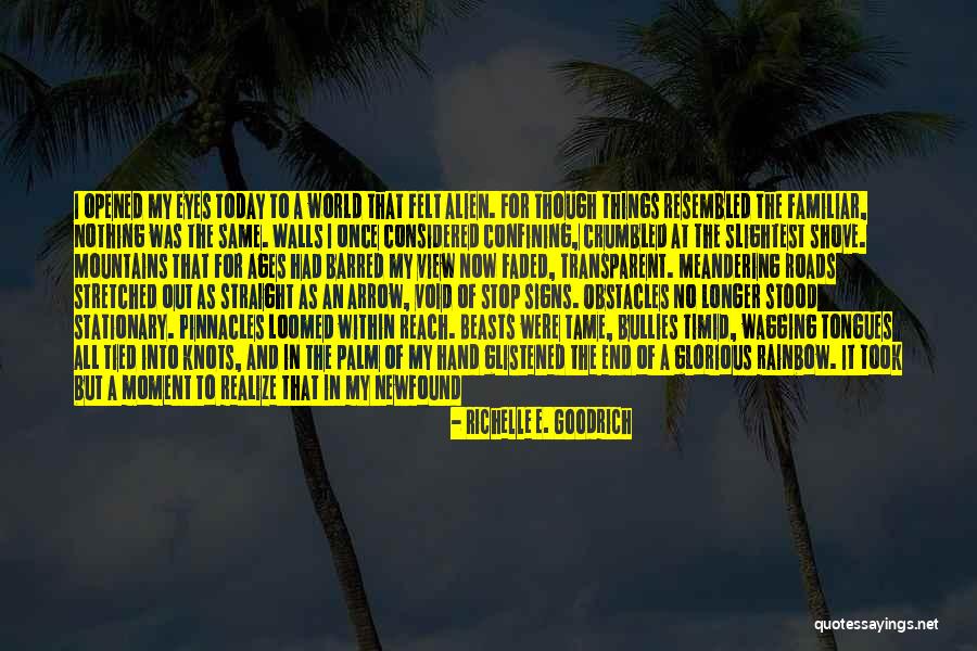 Dreams And Wishes Quotes By Richelle E. Goodrich Dreams And Wishes Quotes By Richelle E. Goodrich