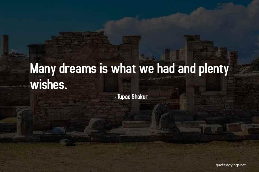 Dreams And Wishes Quotes By Tupac Shakur Dreams And Wishes Quotes By Tupac Shakur
