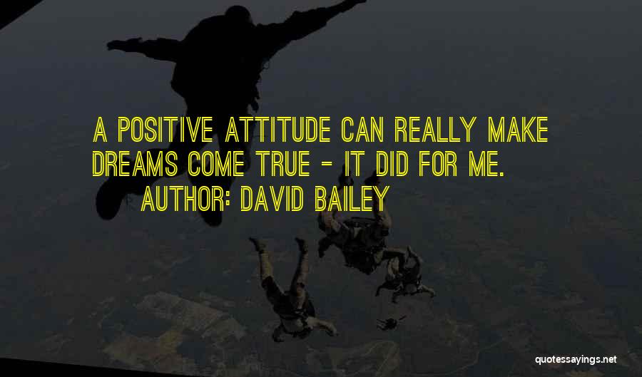 Dreams Can Come True Quotes By David Bailey