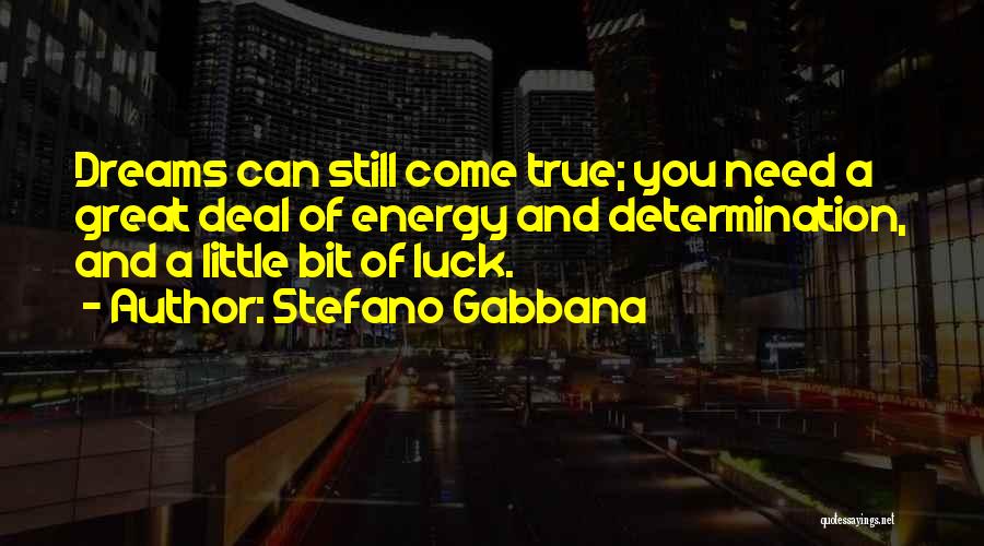 Dreams Can Come True Quotes By Stefano Gabbana