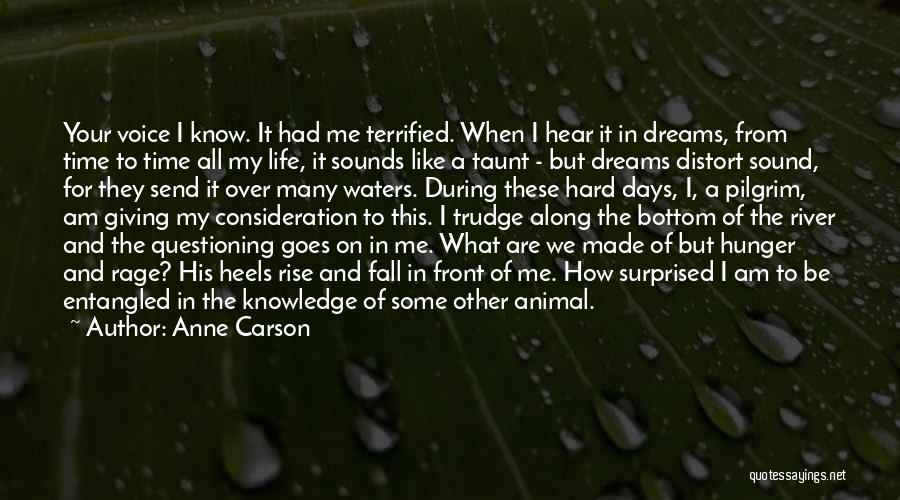 Dreams For Your Life Quotes By Anne Carson