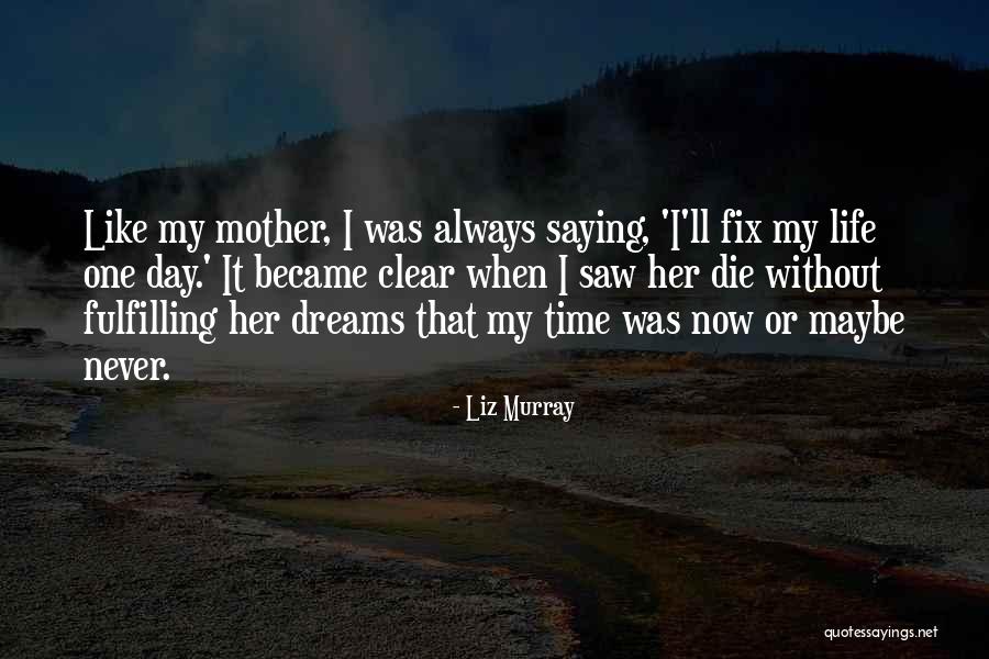 Dreams Fulfilling Quotes By Liz Murray