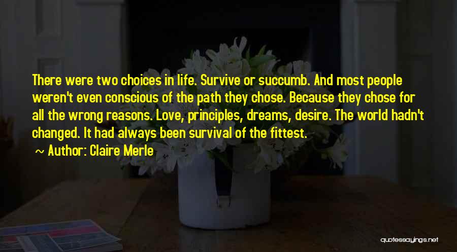 Dreams Gone Wrong Quotes By Claire Merle