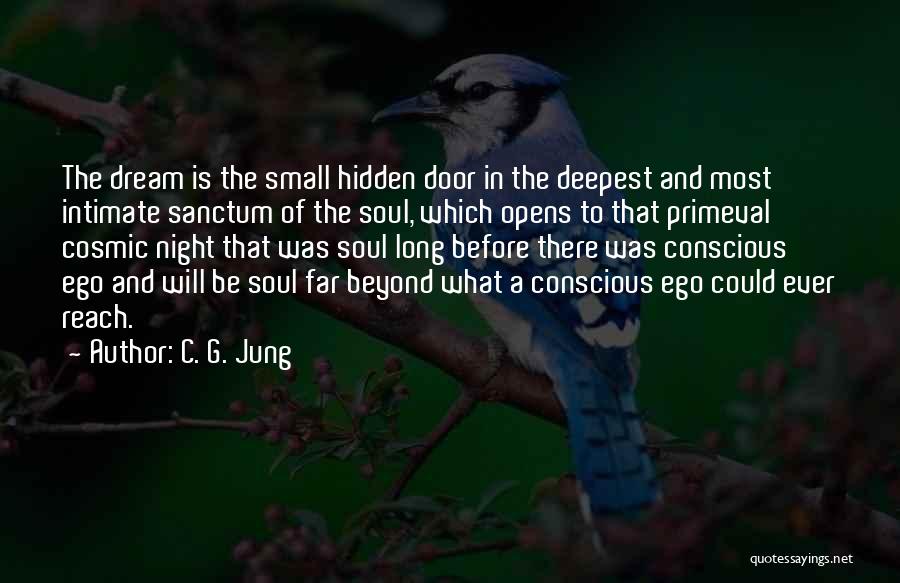 Dreams Jung Quotes By C. G. Jung