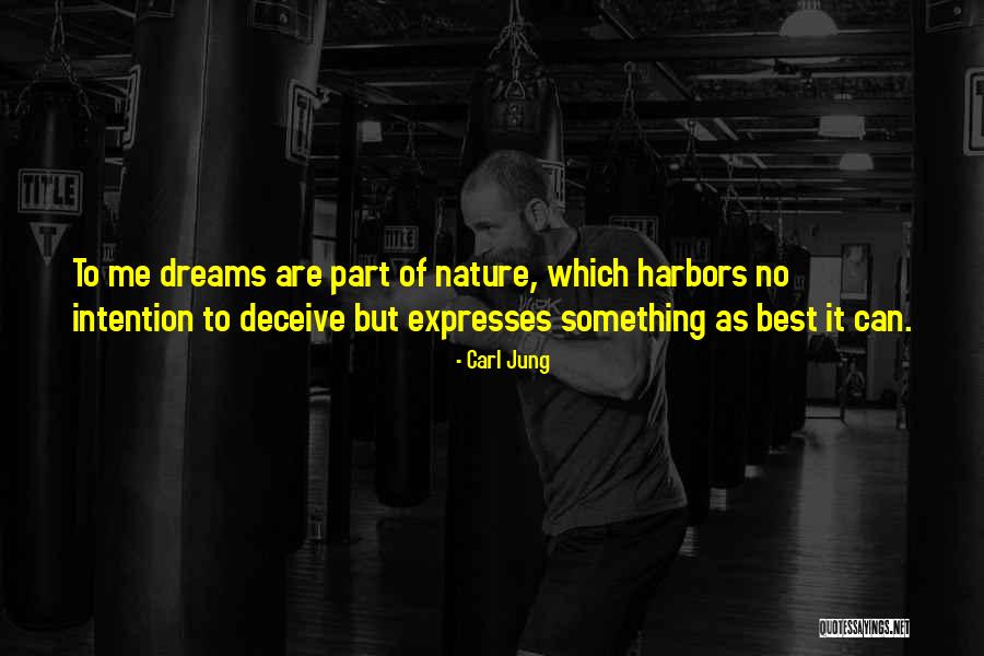 Top 58 Quotes & Sayings About Dreams Jung