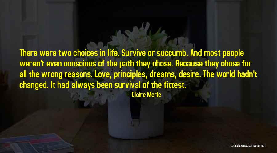 Dreams Life And Love Quotes By Claire Merle