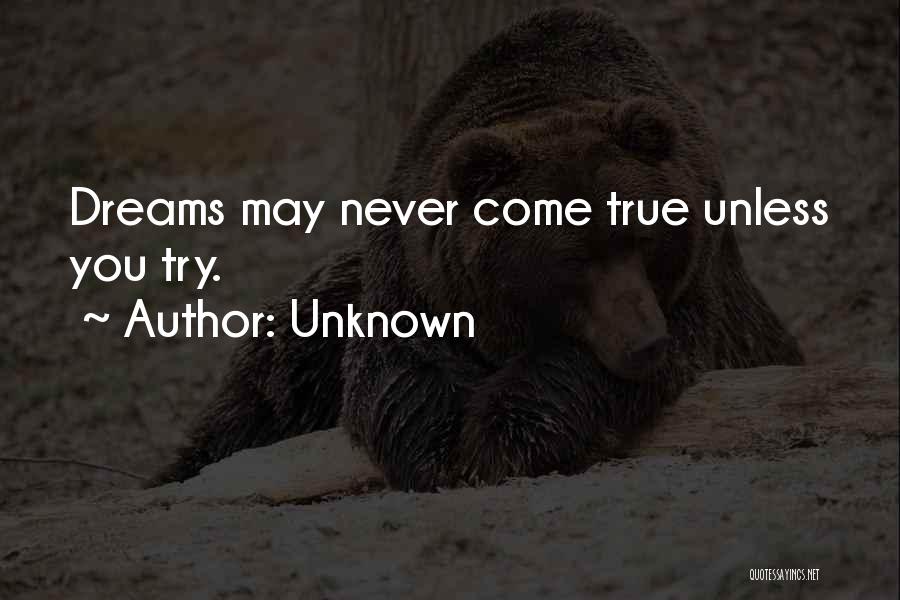 Dreams May Come True Quotes By Unknown