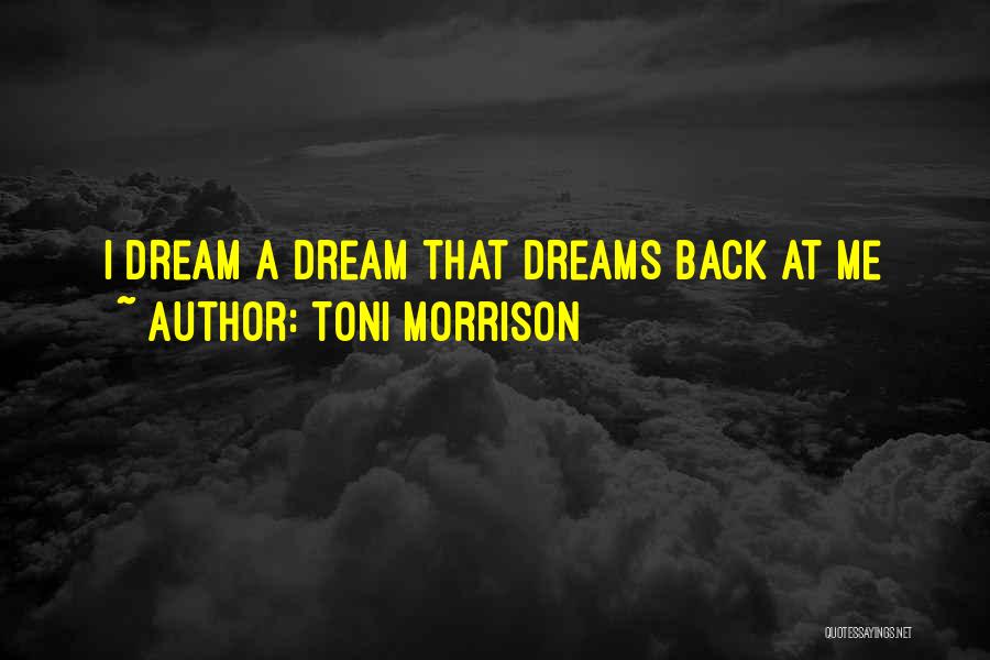 Dreams Of Your Ex Quotes By Toni Morrison