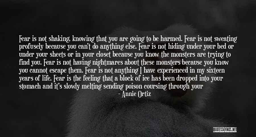 Dreams Over Love Quotes By Annie Ortiz Dreams Over Love Quotes By Annie Ortiz