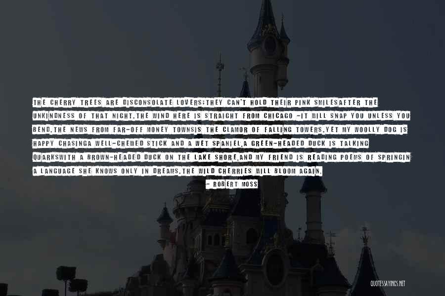 Dreams Poems Quotes By Robert Moss Dreams Poems Quotes By Robert Moss