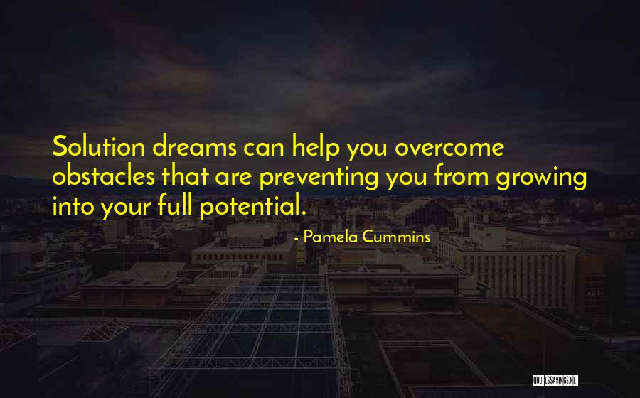 Dreams To Success Quotes By Pamela Cummins