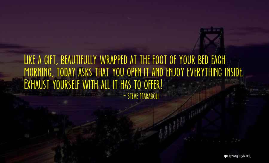Dreams To Success Quotes By Steve Maraboli Dreams To Success Quotes By Steve Maraboli