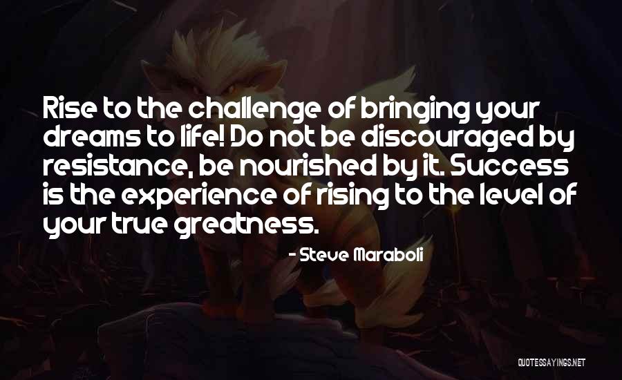 Dreams To Success Quotes By Steve Maraboli Dreams To Success Quotes By Steve Maraboli