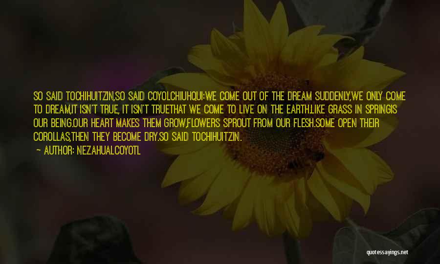 Dreams We Heart It Quotes By Nezahualcoyotl
