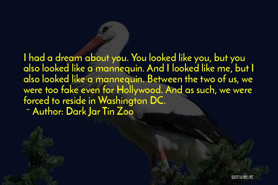 Dreams While Sleeping Quotes By Dark Jar Tin Zoo