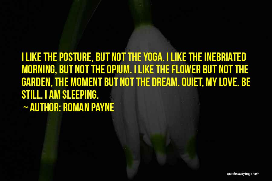 Dreams While Sleeping Quotes By Roman Payne