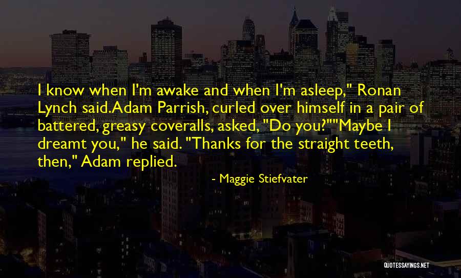 Dreamt Of You Quotes By Maggie Stiefvater Dreamt Of You Quotes By Maggie Stiefvater