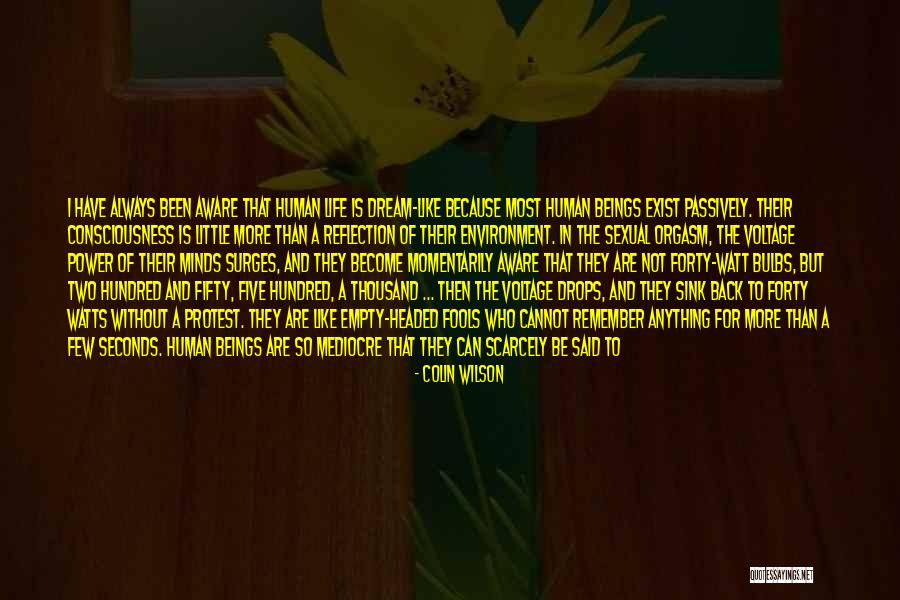 Dredging Corporation Quotes By Colin Wilson Dredging Corporation Quotes By Colin Wilson