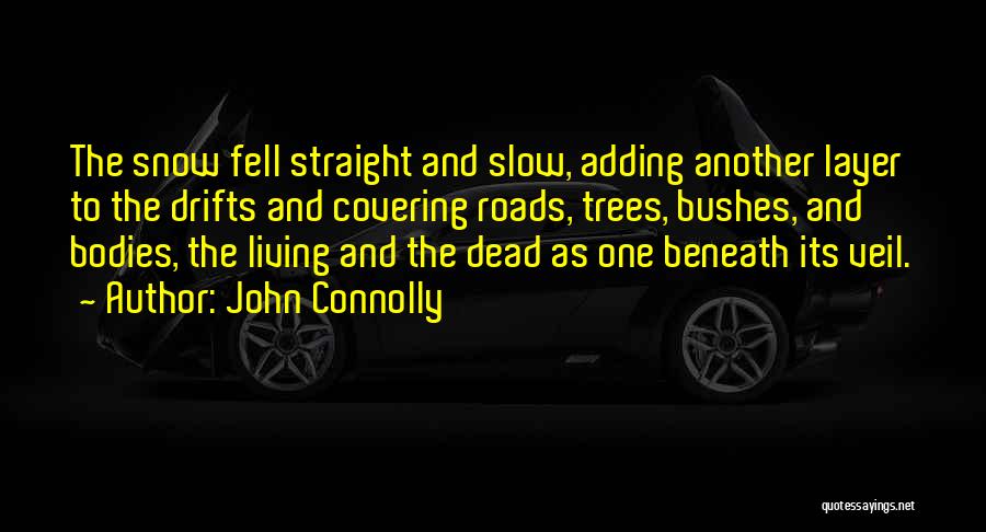 Drehtore Quotes By John Connolly