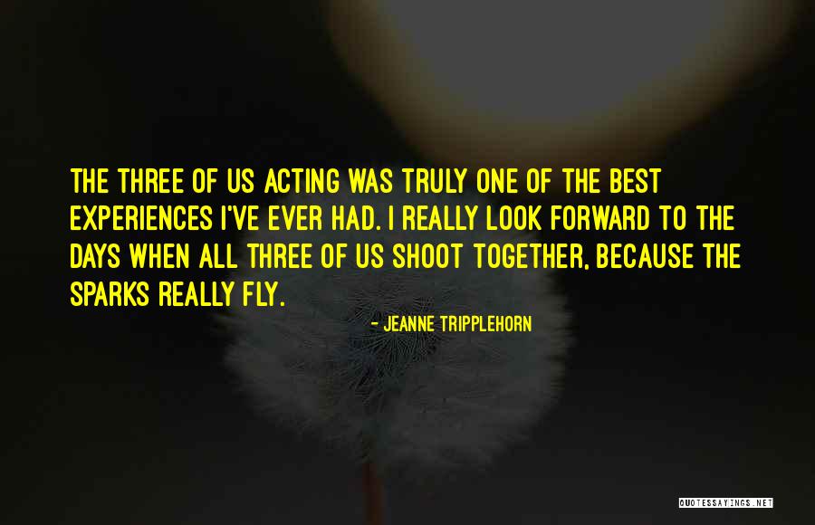 Dreikurs Social Discipline Quotes By Jeanne Tripplehorn Dreikurs Social Discipline Quotes By Jeanne Tripplehorn