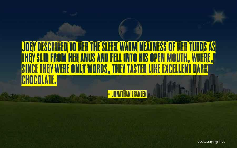 Dreizen Valkenswaard Quotes By Jonathan Franzen Dreizen Valkenswaard Quotes By Jonathan Franzen