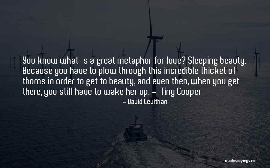 Drept Civil Quotes By David Levithan Drept Civil Quotes By David Levithan