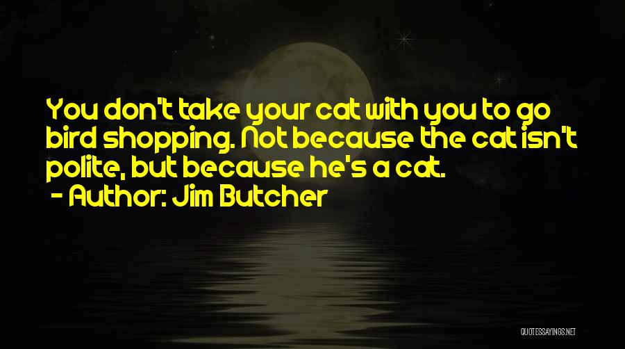 Dresden Changes Quotes By Jim Butcher