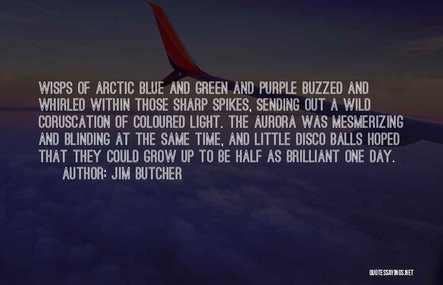 Dresden Files Quotes By Jim Butcher