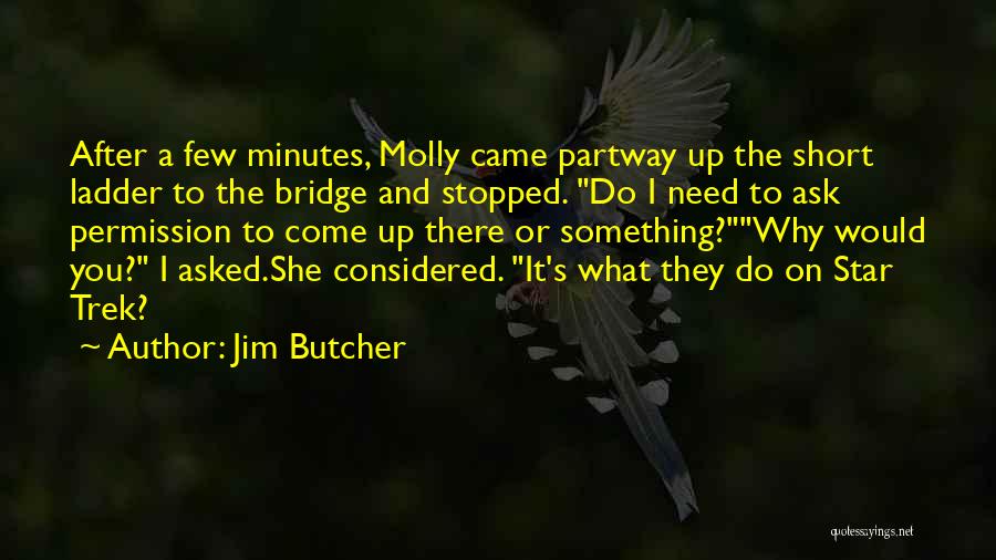 Dresden Files Quotes By Jim Butcher