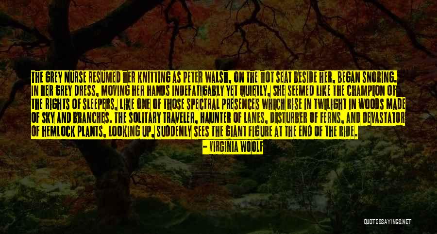 Dress Like Quotes By Virginia Woolf Dress Like Quotes By Virginia Woolf