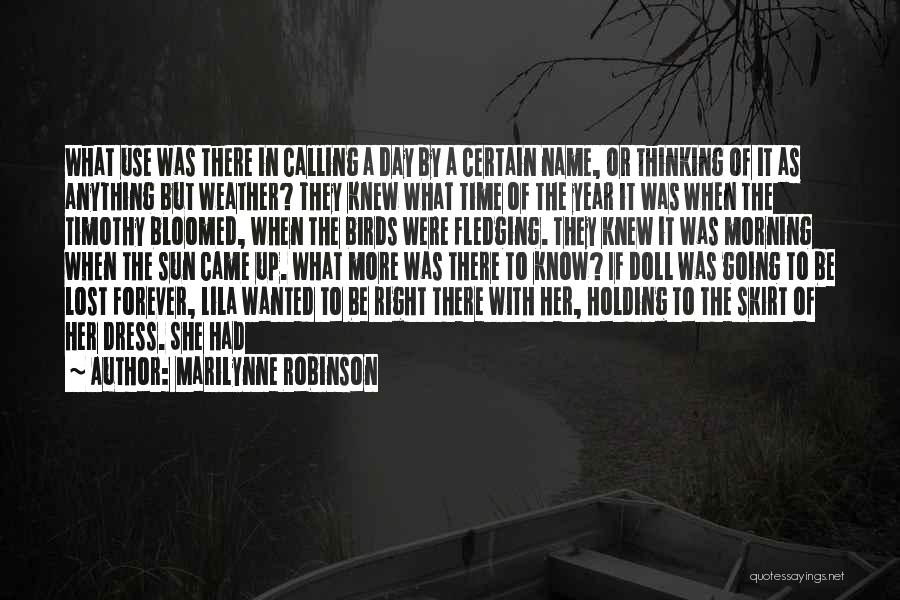Dress Quotes By Marilynne Robinson