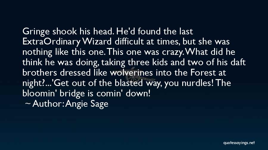 Dressed Down Quotes By Angie Sage