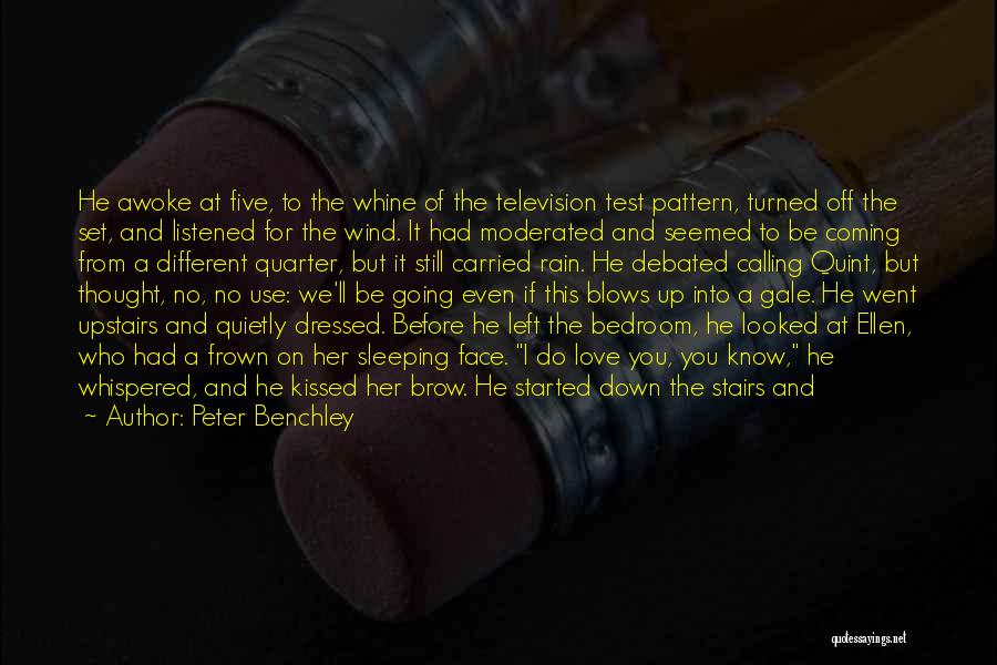 Dressed Down Quotes By Peter Benchley