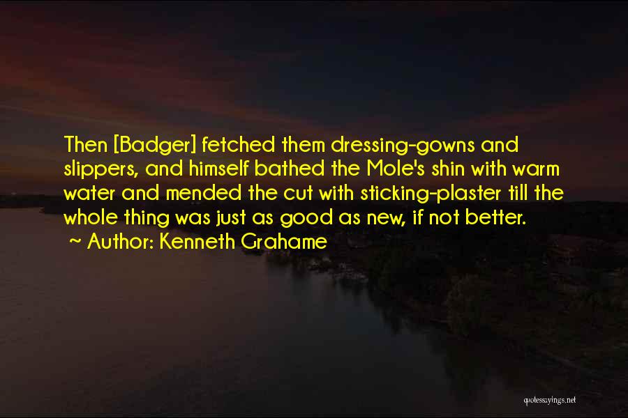 Dressing Gowns Quotes By Kenneth Grahame