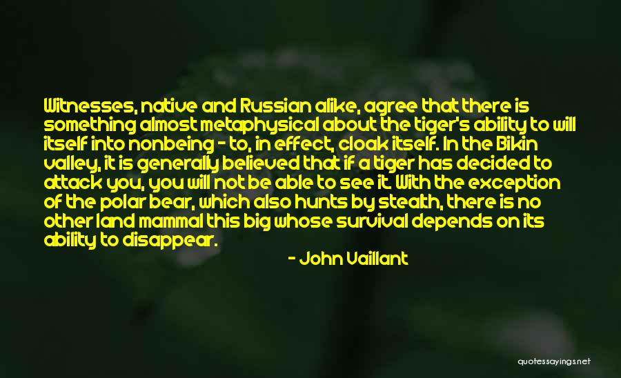 Dressing Trashy Quotes By John Vaillant Dressing Trashy Quotes By John Vaillant