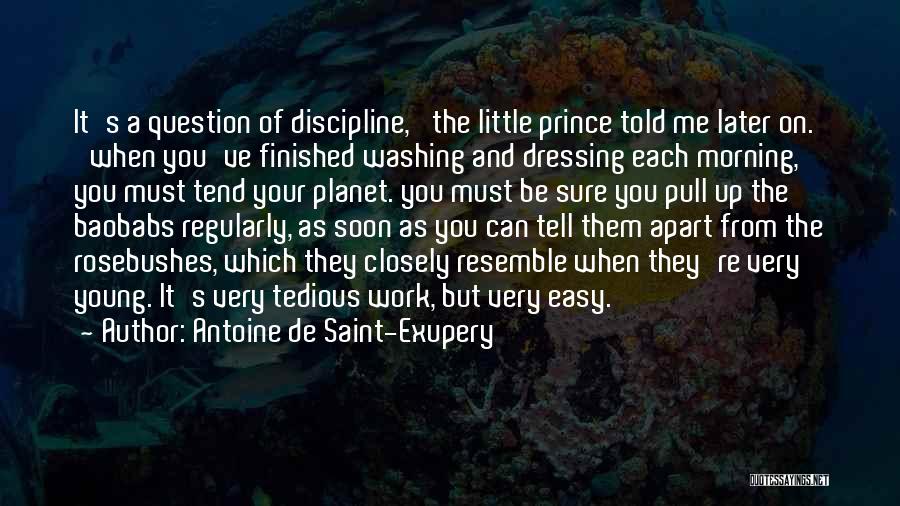 Dressing Well At Work Quotes By Antoine De Saint-Exupery