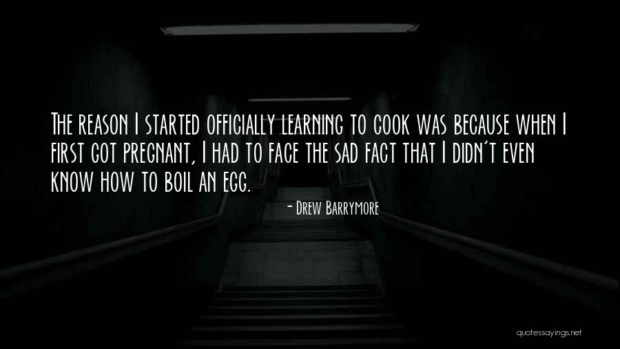 Drew Barrymore Quotes 1676893 Drew Barrymore Quotes 1676893