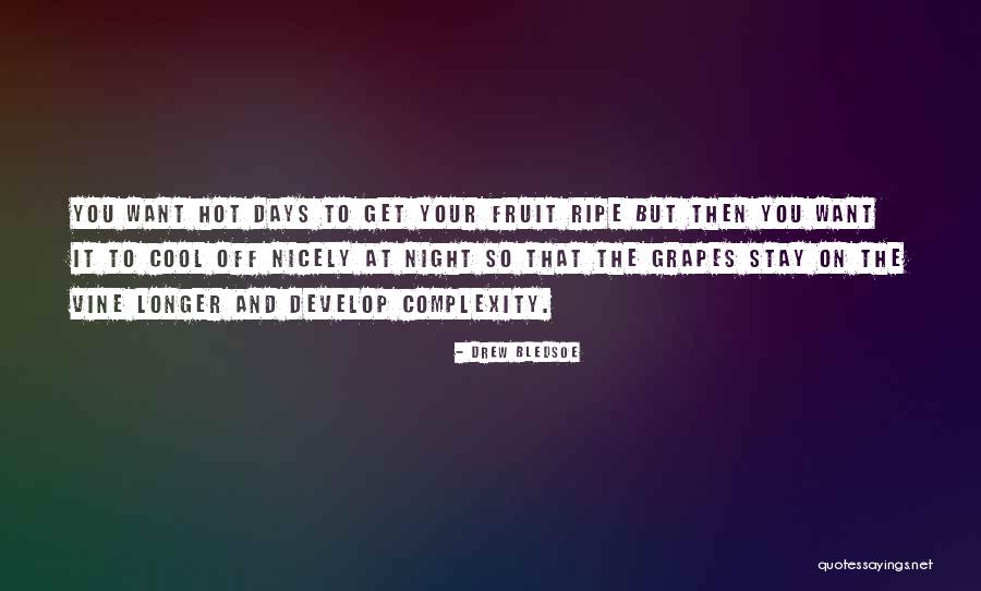 Drew Bledsoe Quotes 1312751 Drew Bledsoe Quotes 1312751